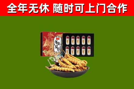 松桃县回收冬虫夏草价格